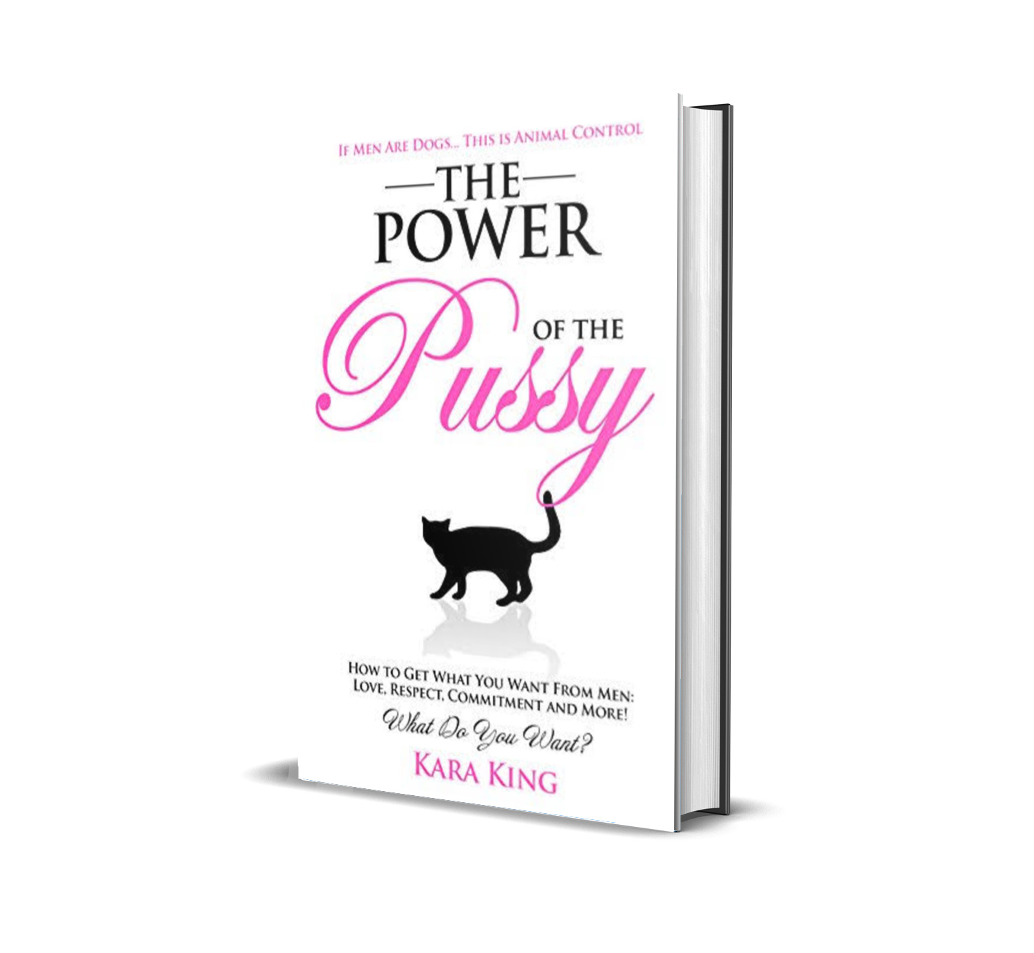 The Power Of The Pussy 1 Kara King Cliffmatt 2695