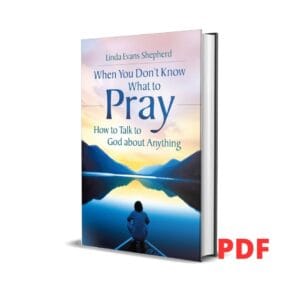 When You Don't Know What to Pray: How to Talk to God About Anything - Linda Evans Shepherd